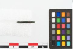 Foto von Bronzering (NHMW-PRAE-048348)